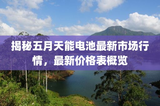 揭秘五月天能电池最新市场行情，最新价格表概览