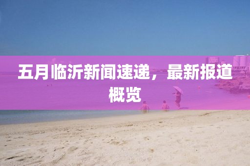 五月临沂新闻速递，最新报道概览