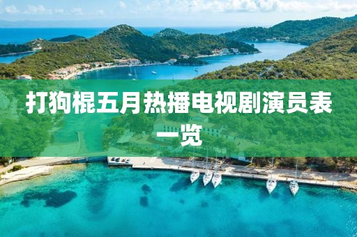 打狗棍五月热播电视剧演员表一览