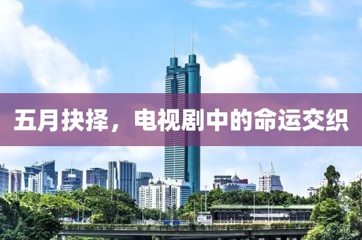 五月抉择，电视剧中的命运交织