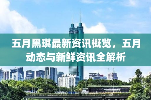 五月黑琪最新资讯概览，五月动态与新鲜资讯全解析