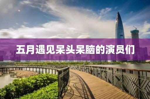 五月遇见呆头呆脑的演员们