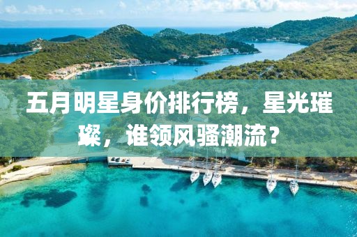 五月明星身价排行榜，星光璀璨，谁领风骚潮流？