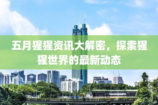 五月猩猩资讯大解密，探索猩猩世界的最新动态