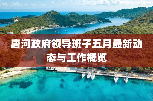 唐河政府领导班子五月最新动态与工作概览