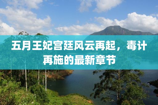 五月王妃宫廷风云再起，毒计再施的最新章节