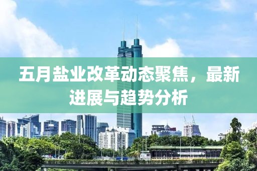 五月盐业改革动态聚焦，最新进展与趋势分析