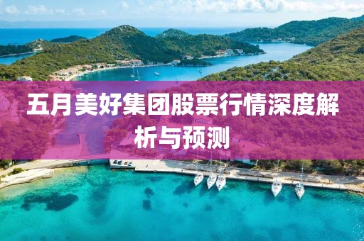 五月美好集团股票行情深度解析与预测