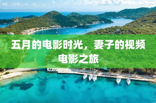 五月的电影时光，妻子的视频电影之旅