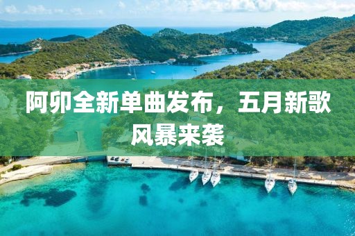 阿卯全新单曲发布，五月新歌风暴来袭