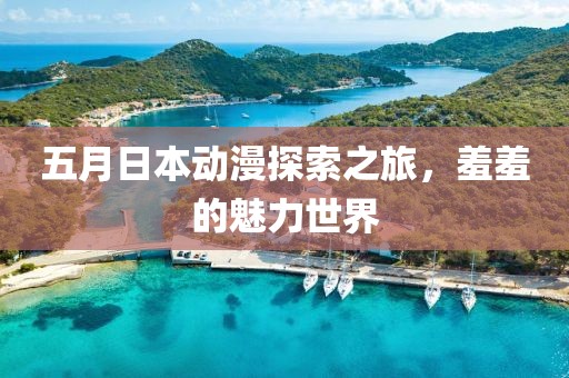 五月日本动漫探索之旅，羞羞的魅力世界