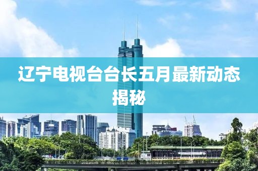 辽宁电视台台长五月最新动态揭秘