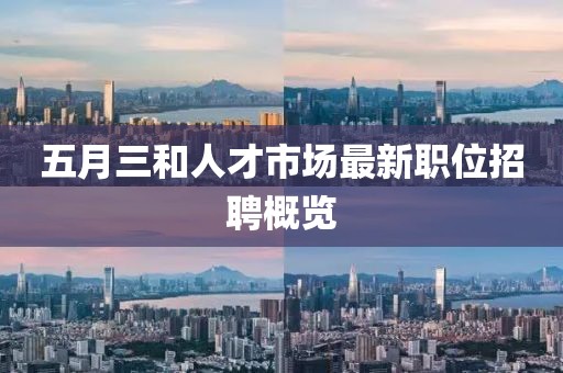 五月三和人才市场最新职位招聘概览