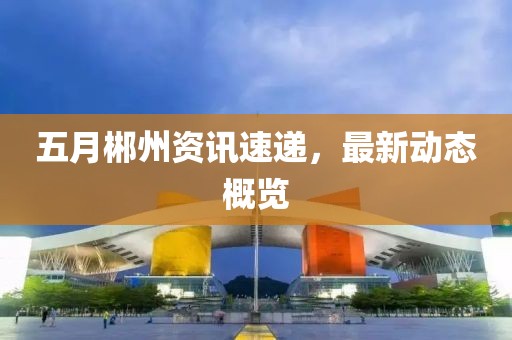 五月郴州资讯速递，最新动态概览