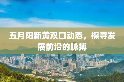 五月阳新黄双口动态，探寻发展前沿的脉搏