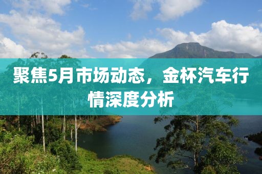 聚焦5月市场动态，金杯汽车行情深度分析