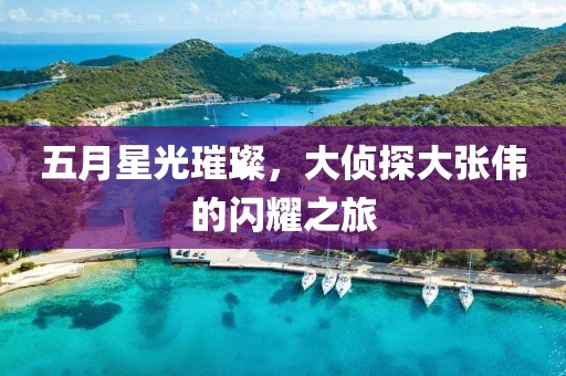 五月星光璀璨，大侦探大张伟的闪耀之旅