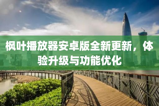 枫叶播放器安卓版全新更新，体验升级与功能优化