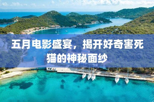 五月电影盛宴，揭开好奇害死猫的神秘面纱