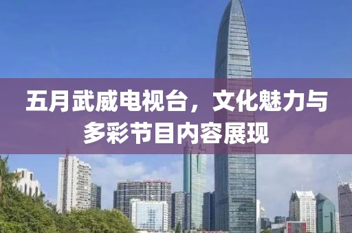 五月武威电视台，文化魅力与多彩节目内容展现