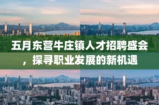 五月东营牛庄镇人才招聘盛会，探寻职业发展的新机遇