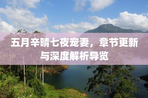 五月辛晴七夜宠妻，章节更新与深度解析导览