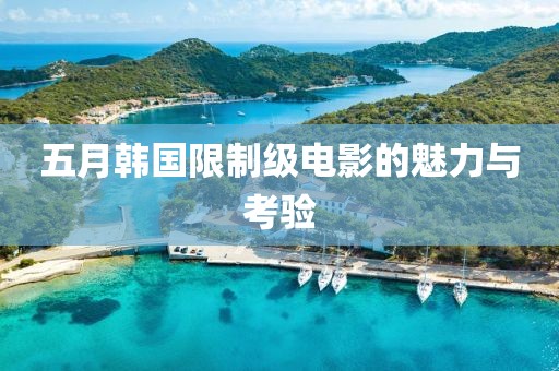 五月韩国限制级电影的魅力与考验
