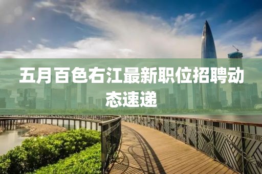 五月百色右江最新职位招聘动态速递