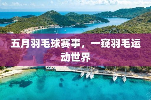 五月羽毛球赛事，一窥羽毛运动世界