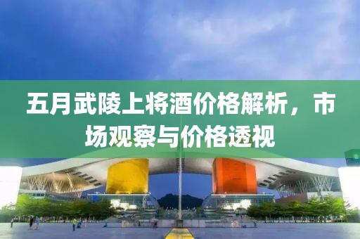 五月武陵上将酒价格解析，市场观察与价格透视