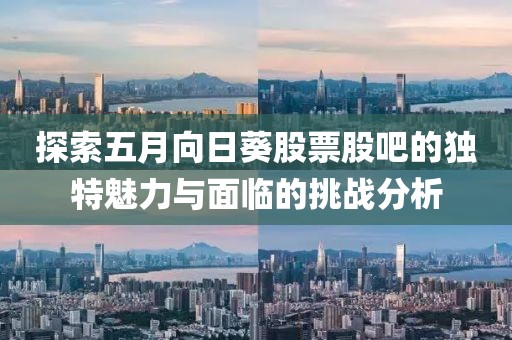 探索五月向日葵股票股吧的独特魅力与面临的挑战分析