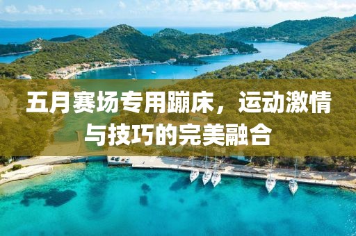 五月赛场专用蹦床，运动激情与技巧的完美融合