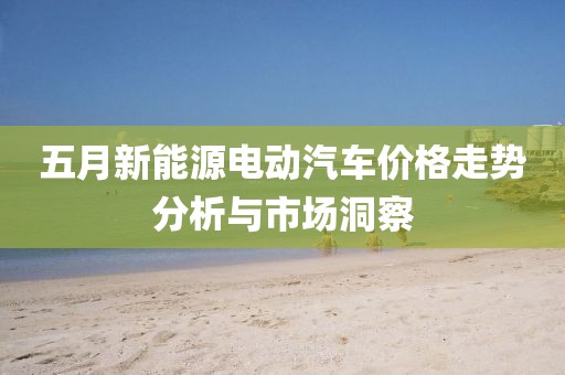 五月新能源电动汽车价格走势分析与市场洞察