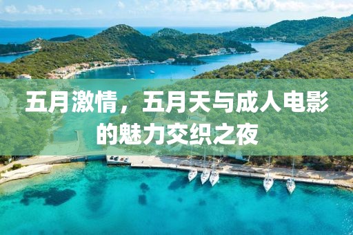 五月激情，五月天与成人电影的魅力交织之夜