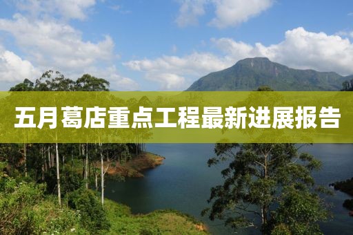 五月葛店重点工程最新进展报告