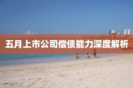 五月上市公司偿债能力深度解析