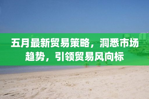 五月最新贸易策略，洞悉市场趋势，引领贸易风向标