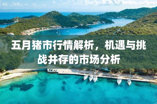 五月猪市行情解析，机遇与挑战并存的市场分析