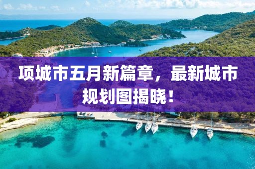 项城市五月新篇章，最新城市规划图揭晓！