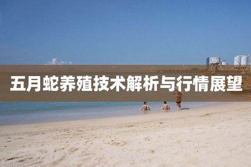 五月蛇养殖技术解析与行情展望