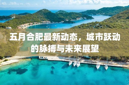 五月合肥最新动态，城市跃动的脉搏与未来展望