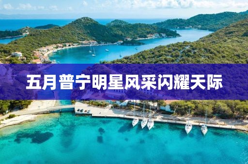 五月普宁明星风采闪耀天际