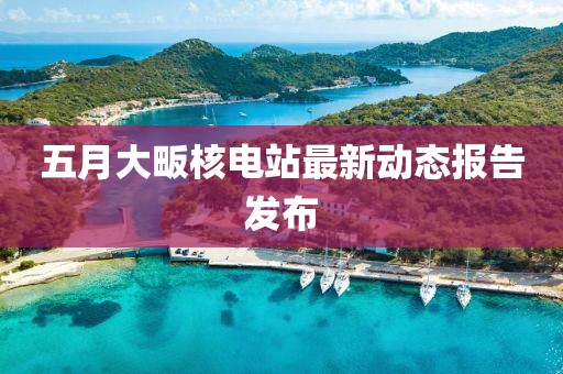 五月大畈核电站最新动态报告发布