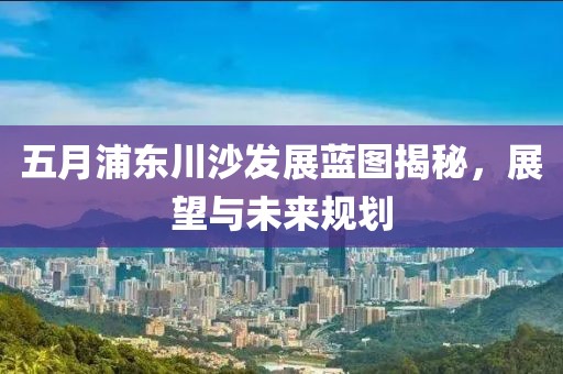 五月浦东川沙发展蓝图揭秘，展望与未来规划