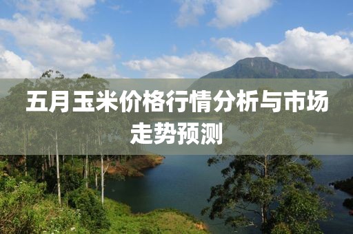 五月玉米价格行情分析与市场走势预测