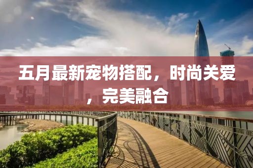 五月最新宠物搭配，时尚关爱，完美融合