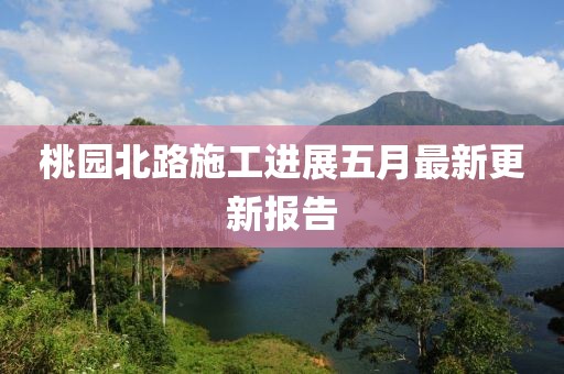 桃园北路施工进展五月最新更新报告