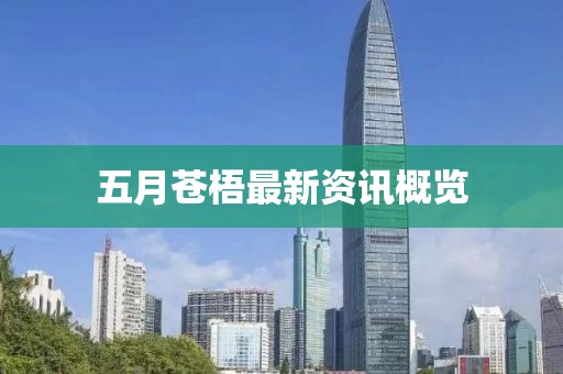五月苍梧最新资讯概览