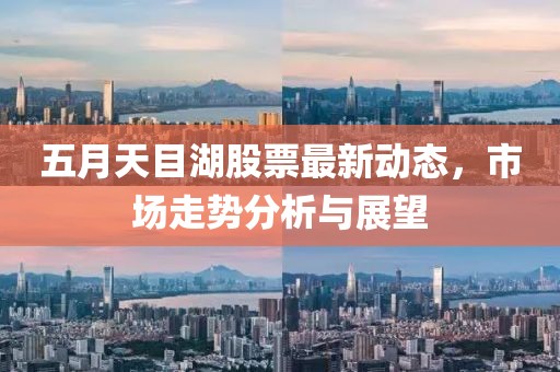 五月天目湖股票最新动态，市场走势分析与展望