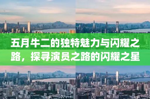 五月牛二的独特魅力与闪耀之路，探寻演员之路的闪耀之星